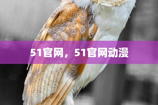 51官网，51官网动漫