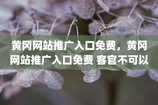 黄冈网站推广入口免费，黄冈网站推广入口免费 客官不可以