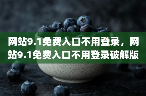 网站9.1免费入口不用登录，网站9.1免费入口不用登录破解版