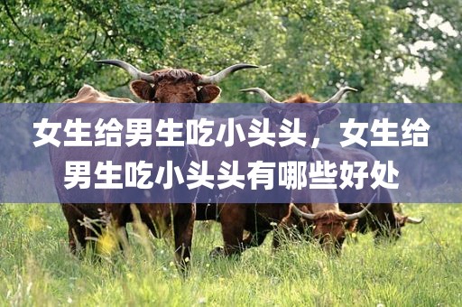女生给男生吃小头头，女生给男生吃小头头有哪些好处