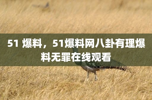 51 爆料，51爆料网八卦有理爆料无罪在线观看