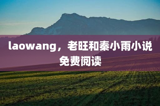 laowang，老旺和秦小雨小说免费阅读