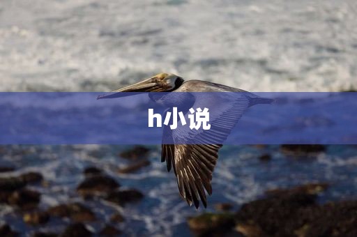 h小说