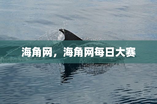 海角网，海角网每日大赛