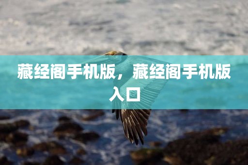 藏经阁手机版，藏经阁手机版入口