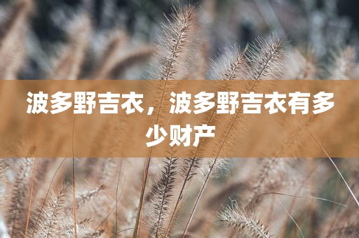 波多野吉衣，波多野吉衣有多少财产