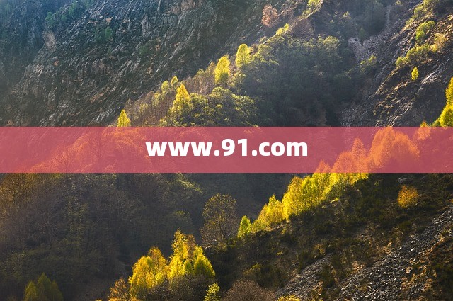 www.91.com