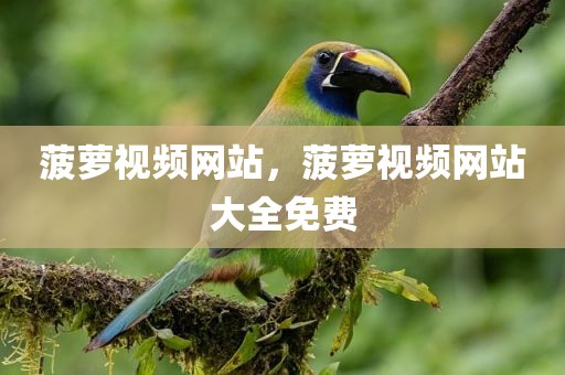 菠萝视频网站，菠萝视频网站大全免费