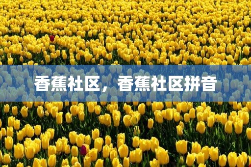 香蕉社区，香蕉社区拼音