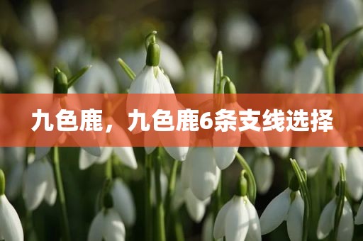 九色鹿，九色鹿6条支线选择