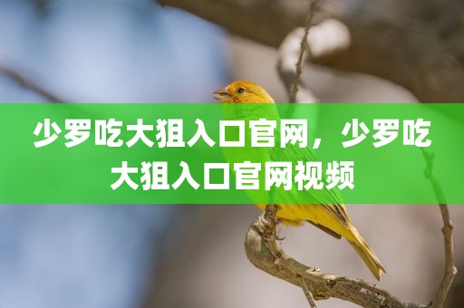 少罗吃大狙入口官网，少罗吃大狙入口官网视频
