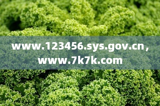 www.123456.sys.gov.cn，www.7k7k.com