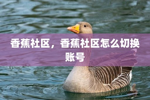 香蕉社区，香蕉社区怎么切换账号