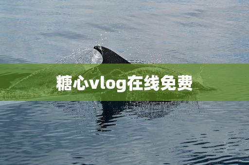 糖心vlog在线免费