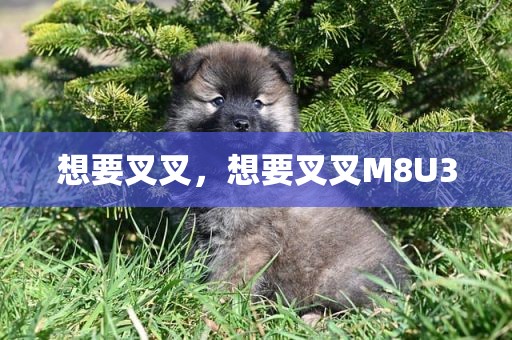 想要叉叉，想要叉叉M8U3