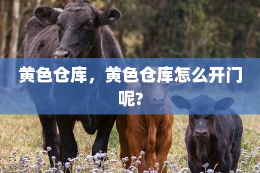 黄色仓库，黄色仓库怎么开门呢?