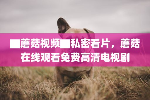 ▇蘑菇视频▇私密看片，蘑菇在线观看免费高清电视剧