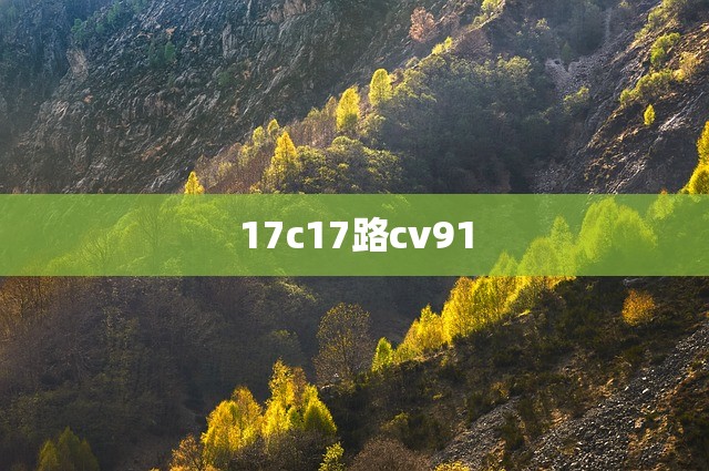 17c17路cv91