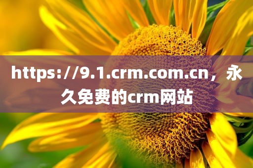 https://9.1.crm.com.cn，永久免费的crm网站