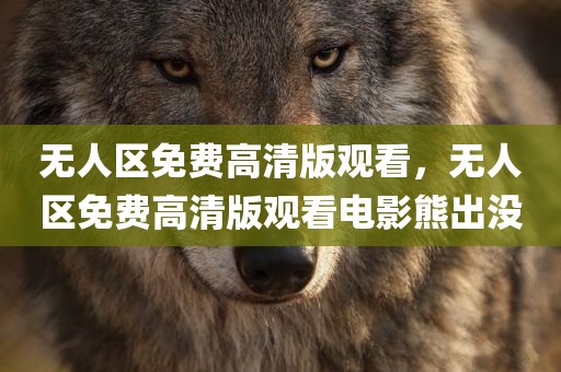 无人区免费高清版观看，无人区免费高清版观看电影熊出没