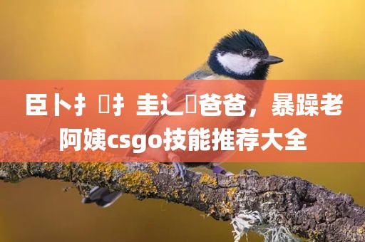 臣卜扌喿扌圭辶畐爸爸，暴躁老阿姨csgo技能推荐大全
