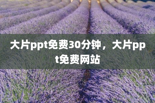 大片ppt免费30分钟，大片ppt免费网站