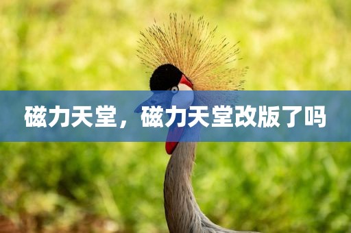 磁力天堂，磁力天堂改版了吗