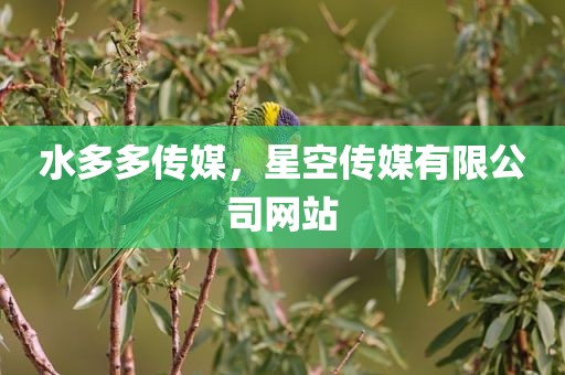 水多多传媒，星空传媒有限公司网站