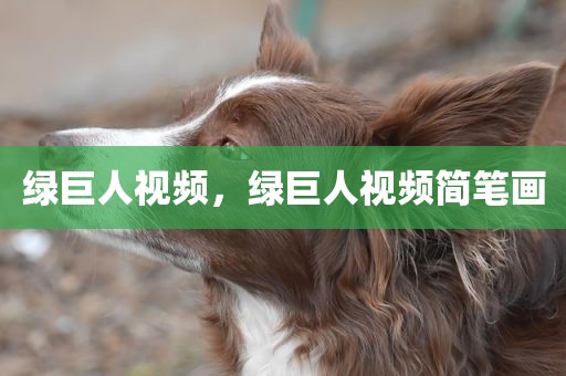 绿巨人视频，绿巨人视频简笔画