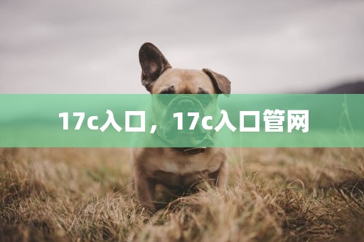 17c入口，17c入口管网