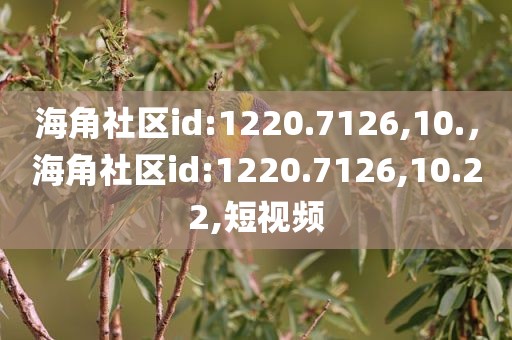 海角社区id:1220.7126,10.，海角社区id:1220.7126,10.22,短视频