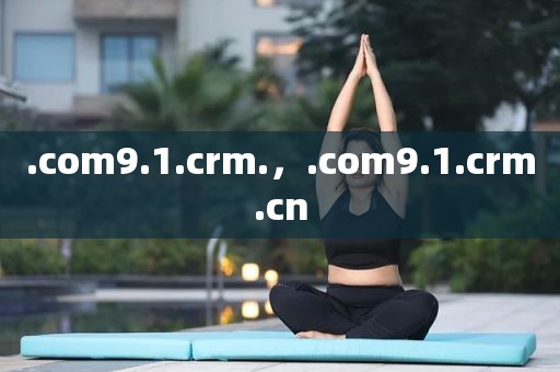 .com9.1.crm.，.com9.1.crm.cn