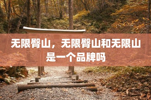 无限臀山，无限臀山和无限山是一个品牌吗