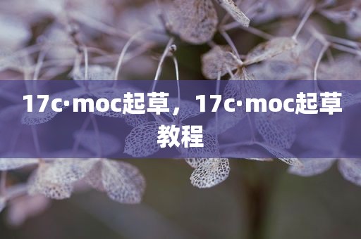 17c·moc起草，17c·moc起草教程