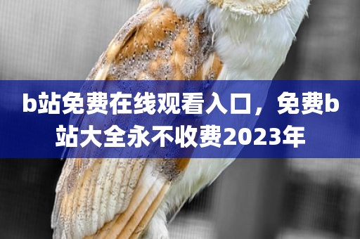 b站免费在线观看入口，免费b站大全永不收费2023年