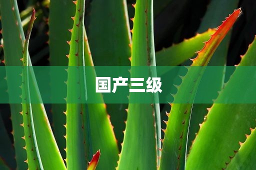 国产三级