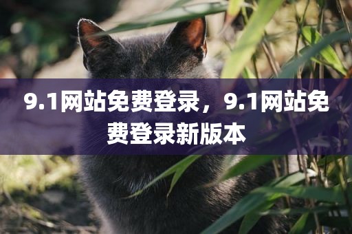 9.1网站免费登录，9.1网站免费登录新版本