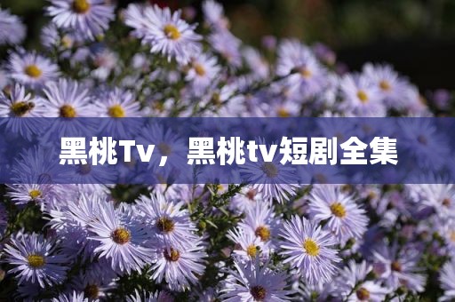 黑桃Tv，黑桃tv短剧全集