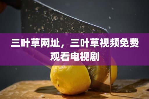 三叶草网址，三叶草视频免费观看电视剧