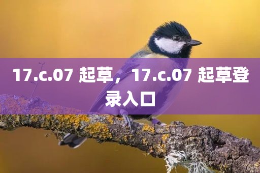 17.c.07 起草，17.c.07 起草登录入口