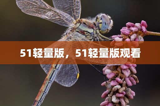 51轻量版，51轻量版观看
