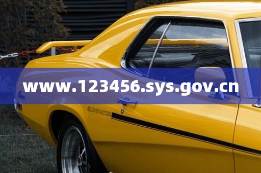 www.123456.sys.gov.cn