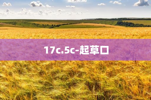 17c.5c-起草口