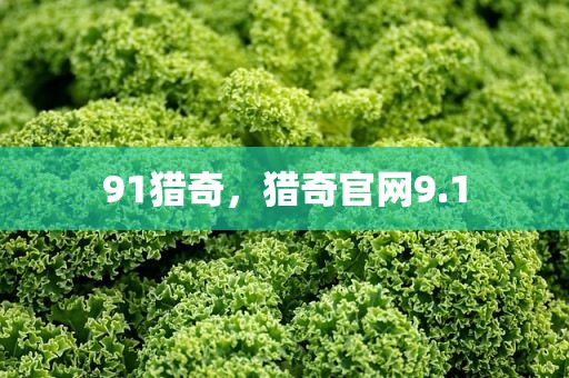 91猎奇，猎奇官网9.1