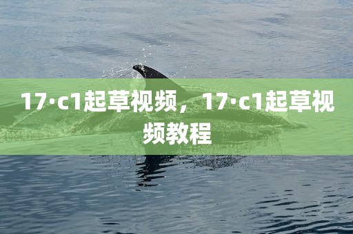 17·c1起草视频，17·c1起草视频教程