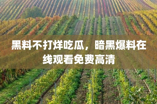 黑料不打烊吃瓜，暗黑爆料在线观看免费高清