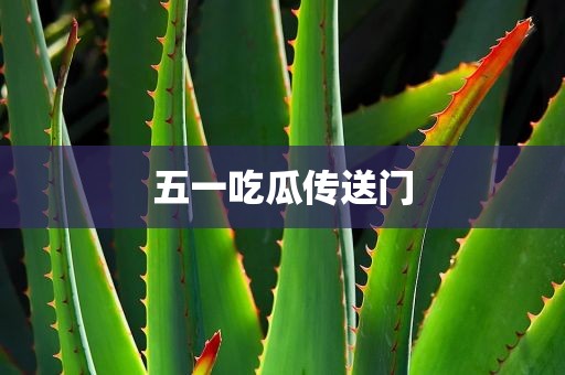 五一吃瓜传送门