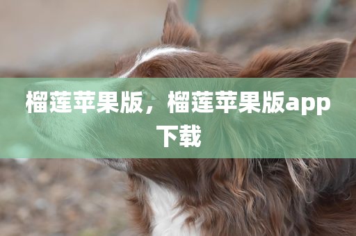 榴莲苹果版，榴莲苹果版app下载