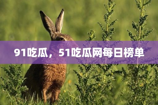 91吃瓜，51吃瓜网每日榜单
