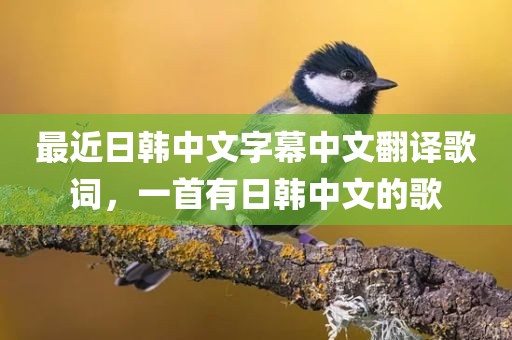 最近日韩中文字幕中文翻译歌词，一首有日韩中文的歌